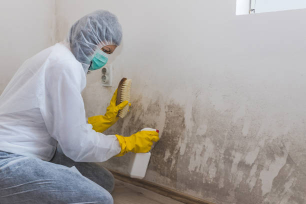 Best Water Damage & Mold Remediation  in Lakeland Highlands, FL