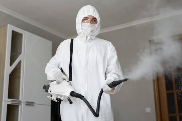 Why You Should Choose Our Mold Remediation Services in Lakeland Highlands, FL